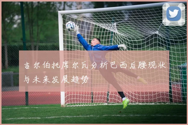 吉尔伯托席尔瓦分析巴西后腰现状与未来发展趋势