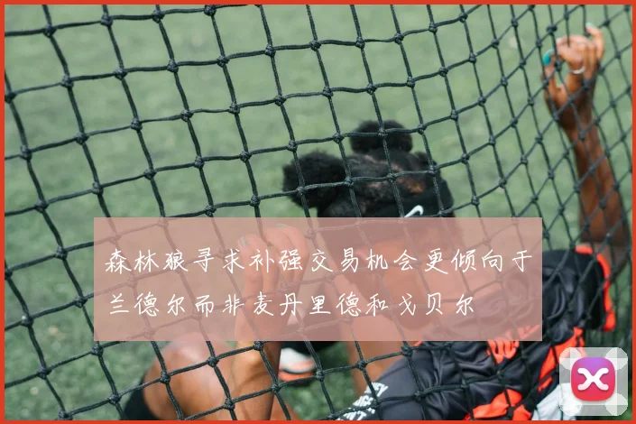 森林狼寻求补强交易机会更倾向于兰德尔而非麦丹里德和戈贝尔